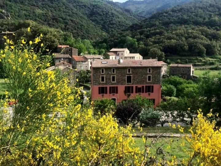 Auberge Cevenole Valleraugue Exterior photo